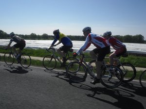 RTF Celle 2011 Manfred 113